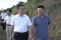 信阳市委常委、副市长李俊一行到91111威斯尼斯人调研油茶产业发展情况